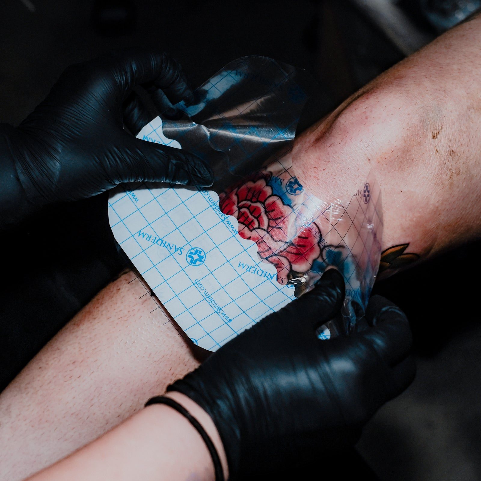 Gloved hands smoothing a clear Saniderm bandage over a fresh rose tattoo.